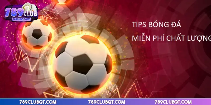 Tips bóng đá là gì dự đoán kèo chuẩn dựa trên phân tích chuyên sâu